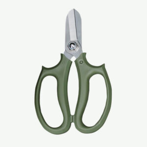 Home plants ecommerce accessories product featured img 4
